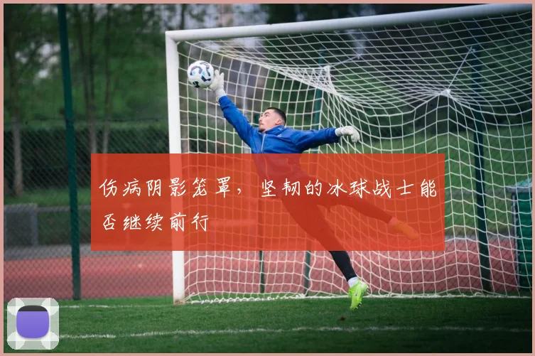 伤病阴影笼罩,坚韧的冰球战士能否继续前行